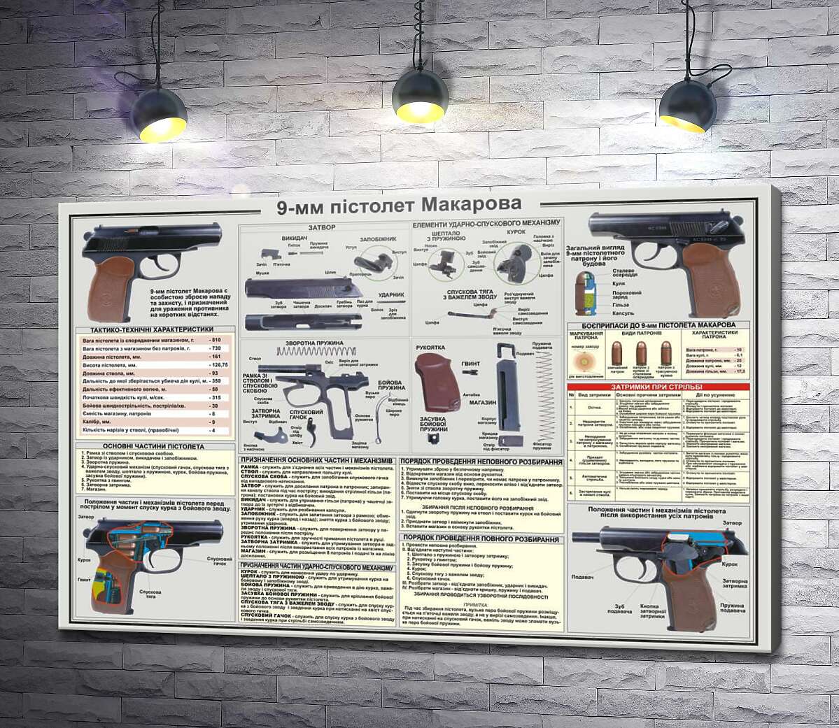 картина Учебный плакат пистолета Макарова