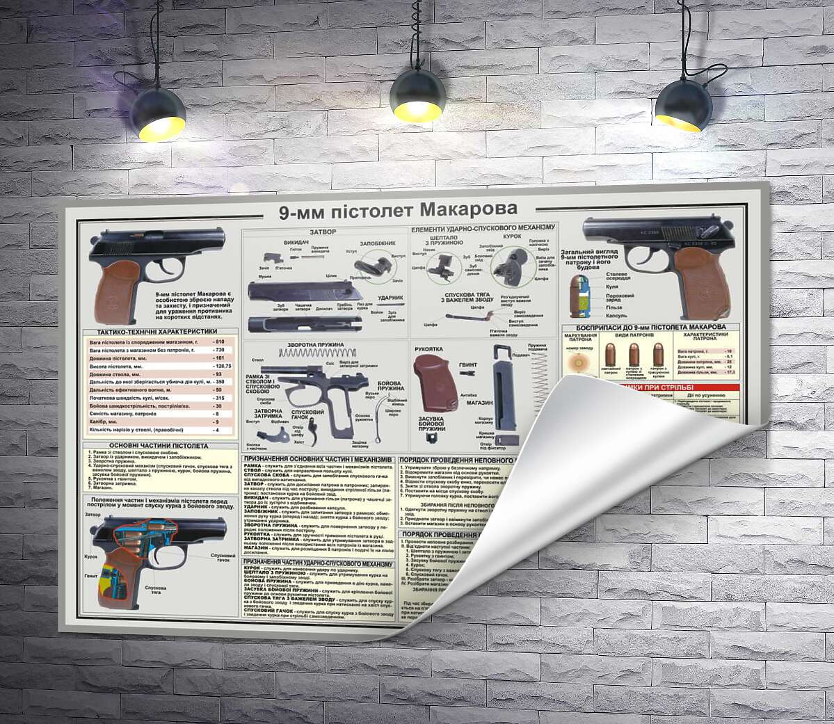 печать Учебный плакат пистолета Макарова