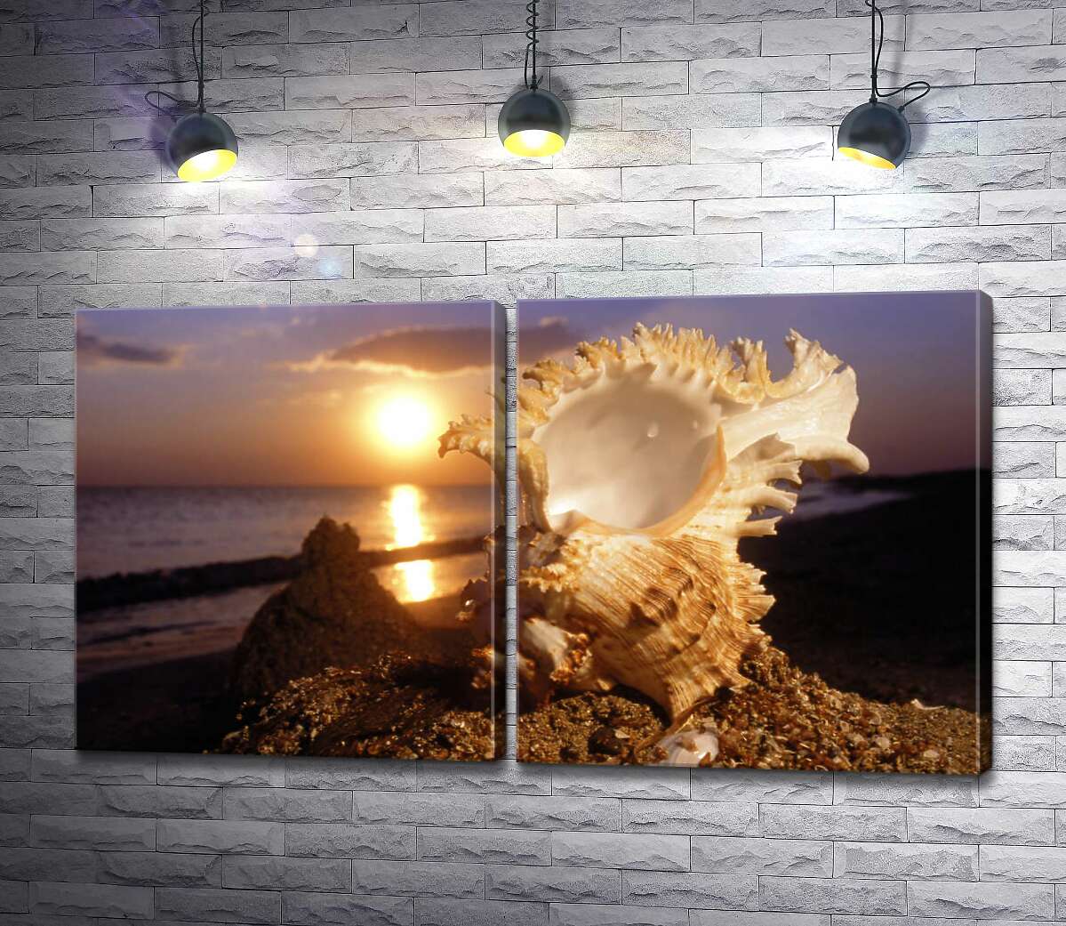 модульная картина Причудливые формы морской ракушки на фоне вечернего пляжа