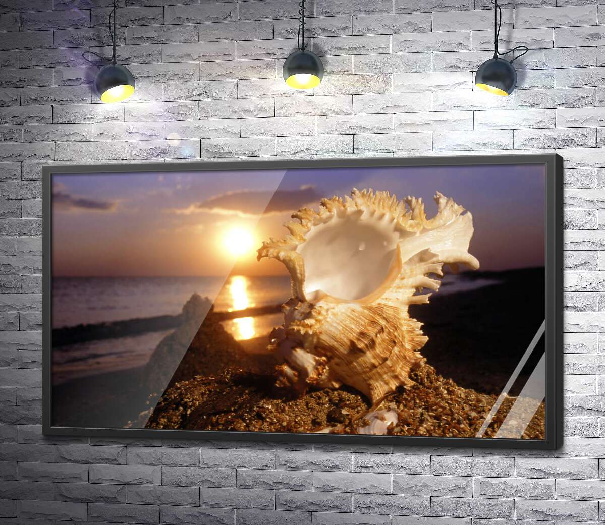 постер Причудливые формы морской ракушки на фоне вечернего пляжа