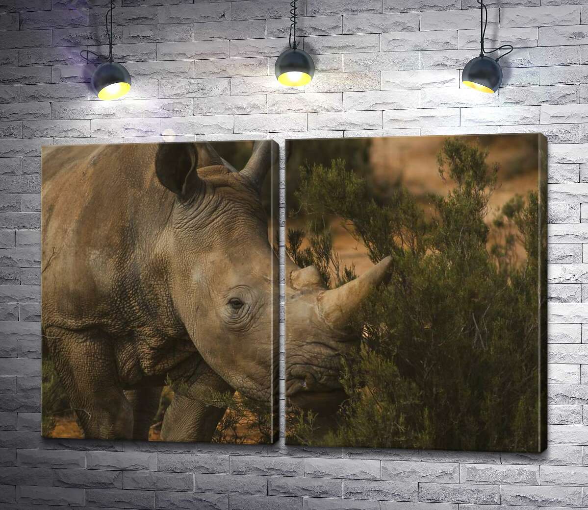 модульная картина Редкий белый носорог ест траву