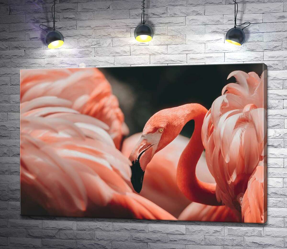 картина Розовые облака из оперения фламинго