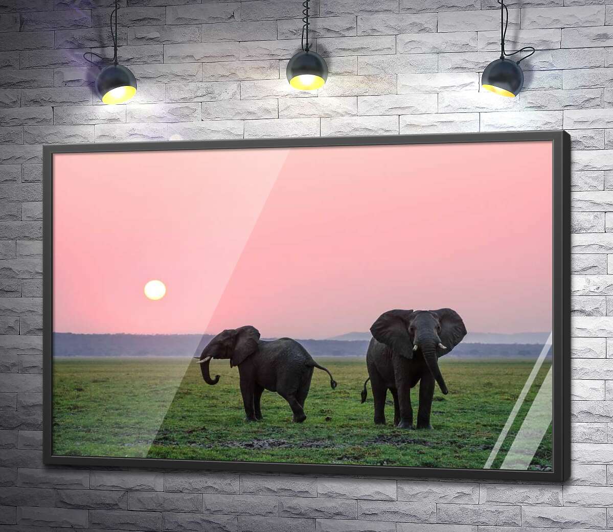 постер Маленькие слоны гуляют по зеленой равнине