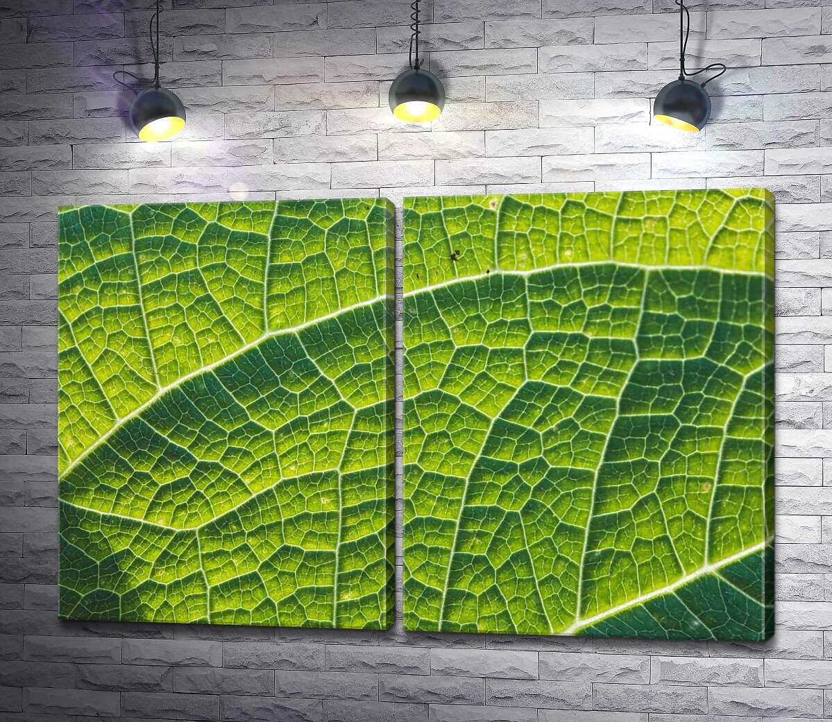 модульна картина Ажурний візерунок соковитих жилок листка