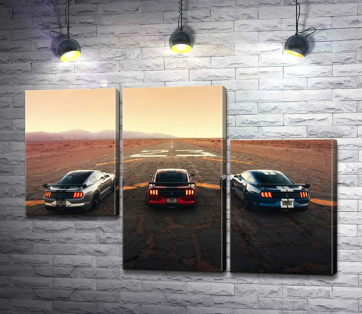 модульна картина Гоночні автомобілі Ford Mustang Shelby GT500 на старій дорозі (Модуль №13)