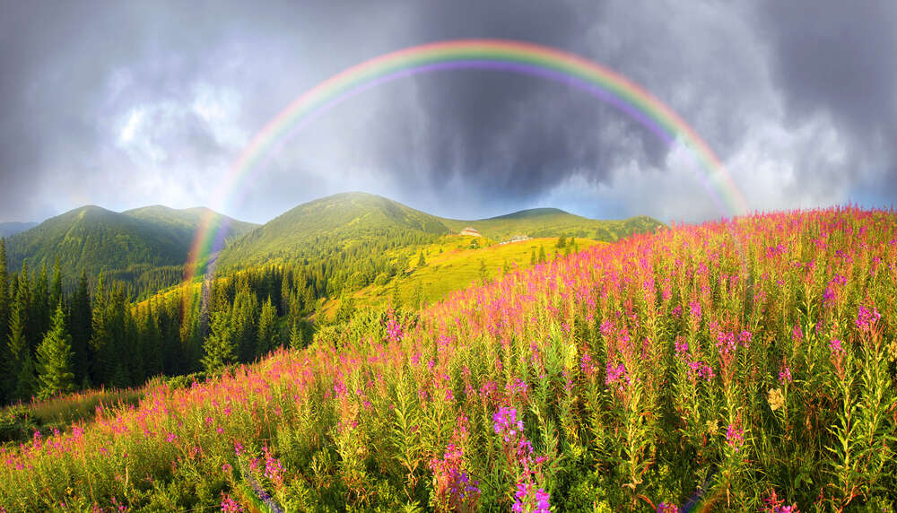 картина-постер Волшебный полукруг радуги возвышается над горным полем вереска