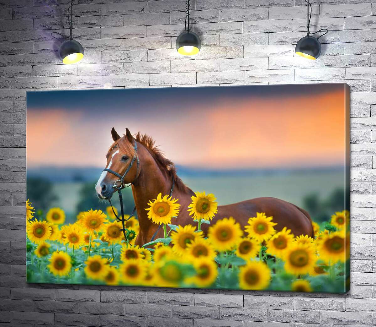 картина Величественная фигура гнедого коня среди яркого поля подсолнухов