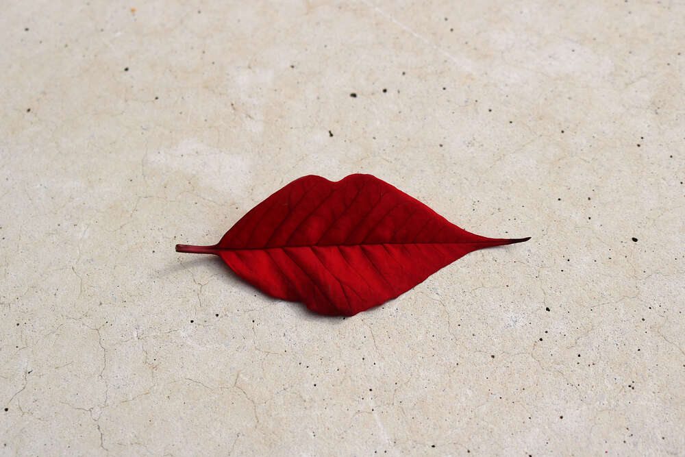 картина-постер Червоний листочок у формі губок лежить на мармуровій підлозі