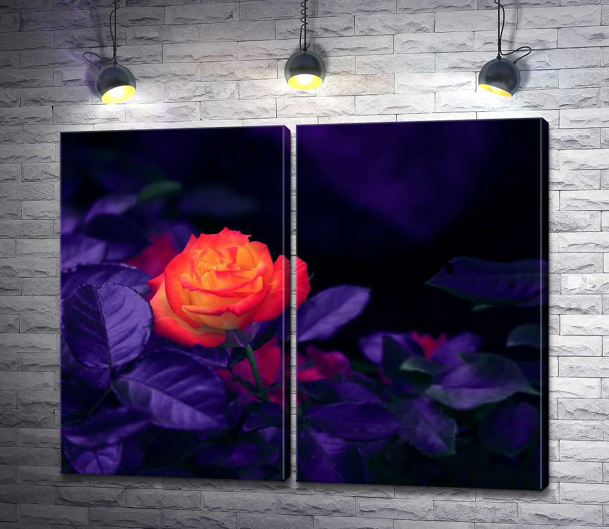модульна картина Помаранчева квітка троянди горить серед темноти пурпурового листя