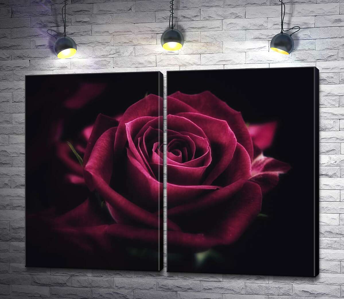 модульная картина Роскошный цветок розы оттенка румба