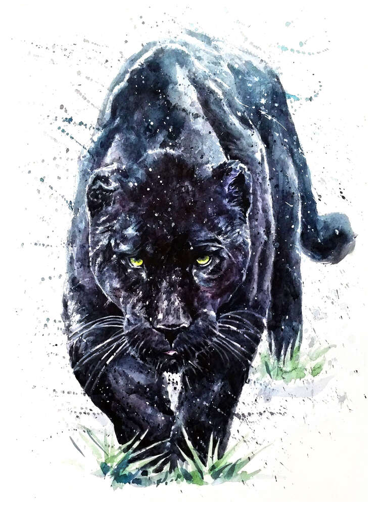 картина-постер Черная пантера не спеша крадется по ковру травы