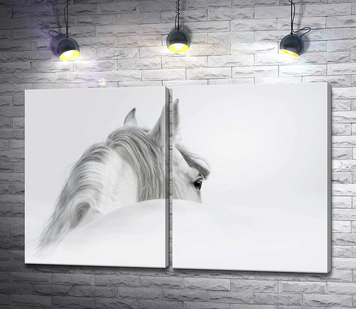 модульная картина Седая грива белоснежного коня