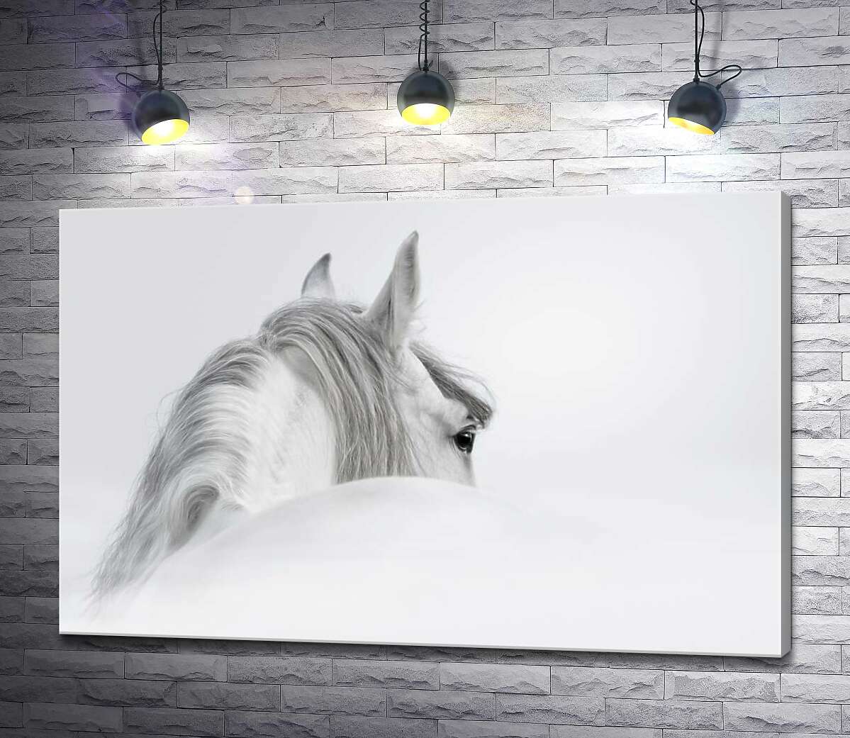 картина Седая грива белоснежного коня