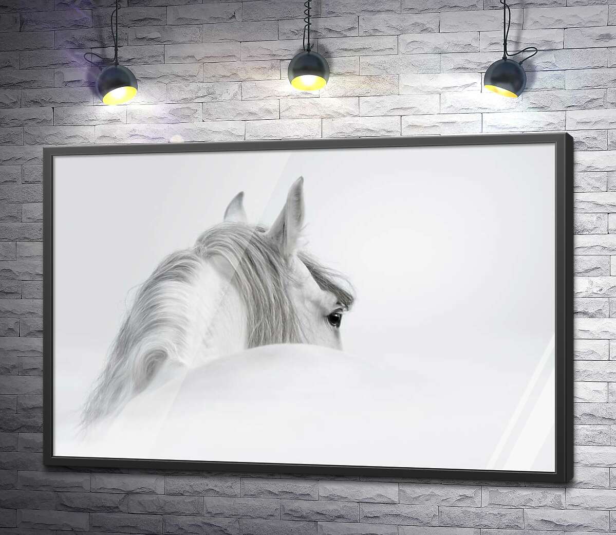 постер Седая грива белоснежного коня