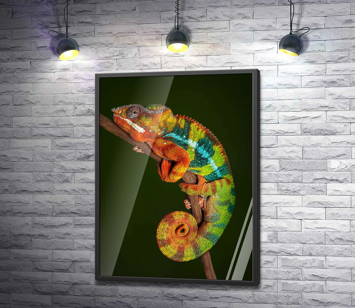 постер Яскравий хамелеон в переливах помаранчево-зелених кольорів