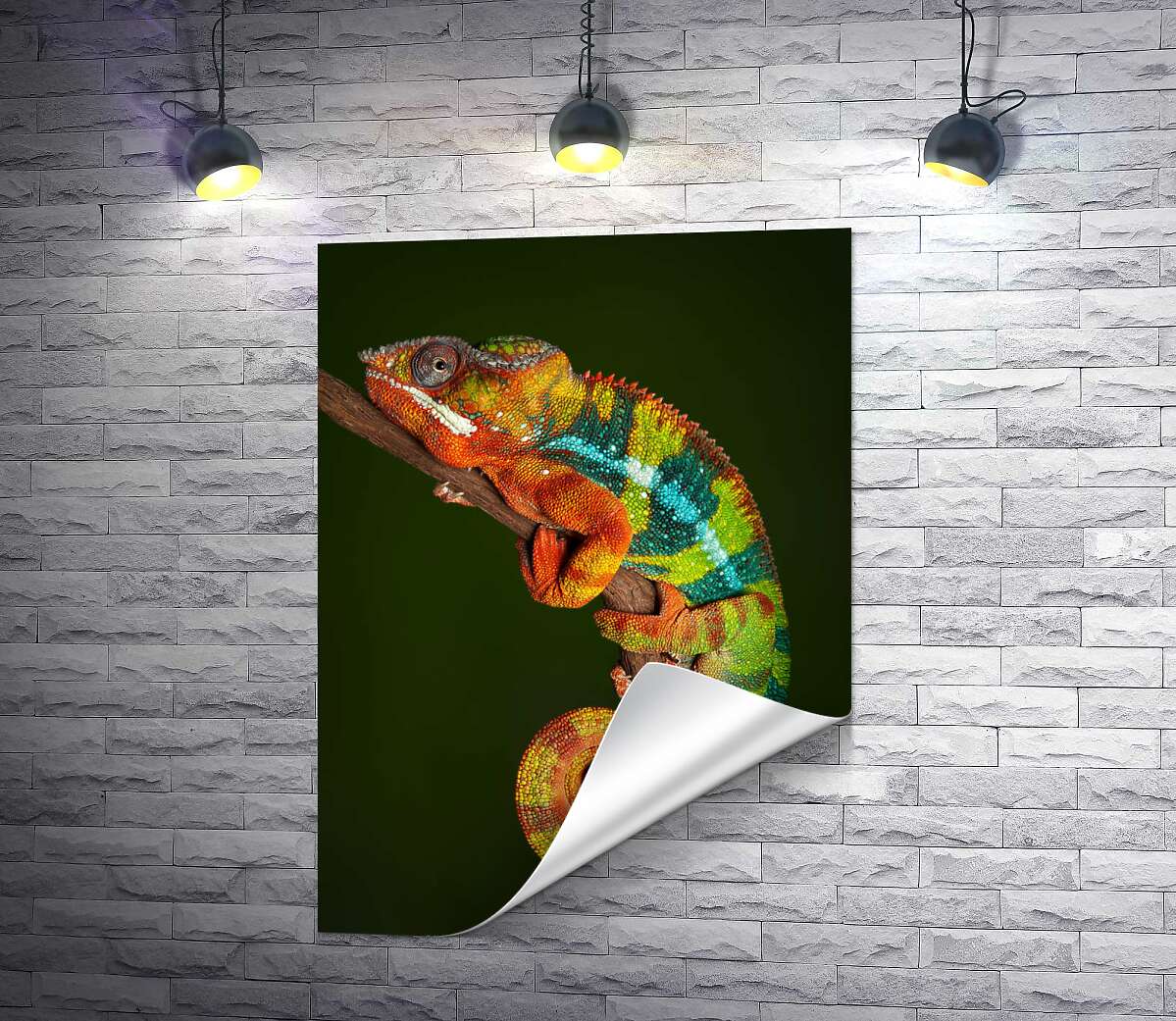 друк Яскравий хамелеон в переливах помаранчево-зелених кольорів