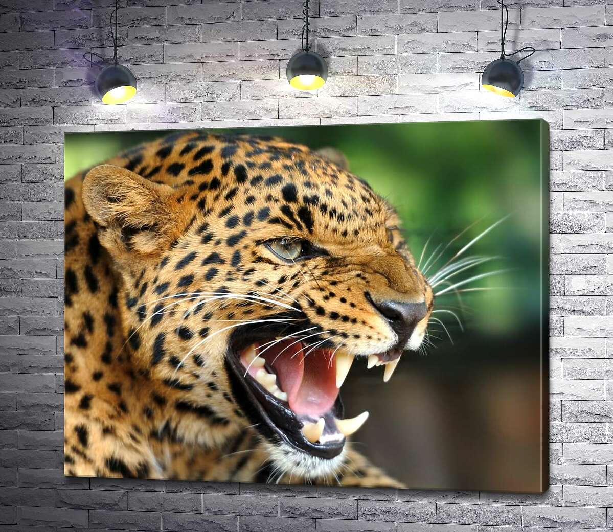 картина Разъяренный ягуар скалит зубы