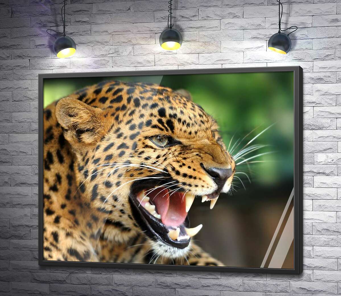 постер Разъяренный ягуар скалит зубы