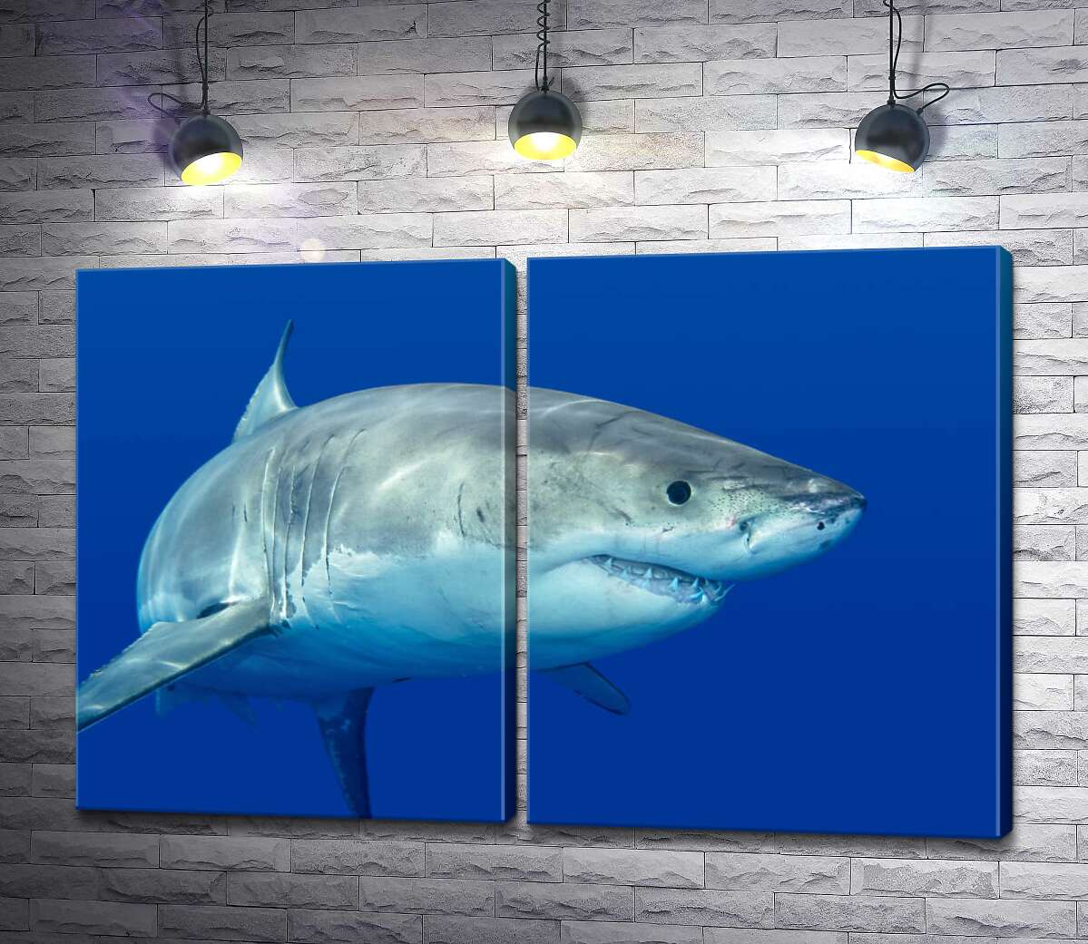 модульная картина Белая акула плавает в голубой воде