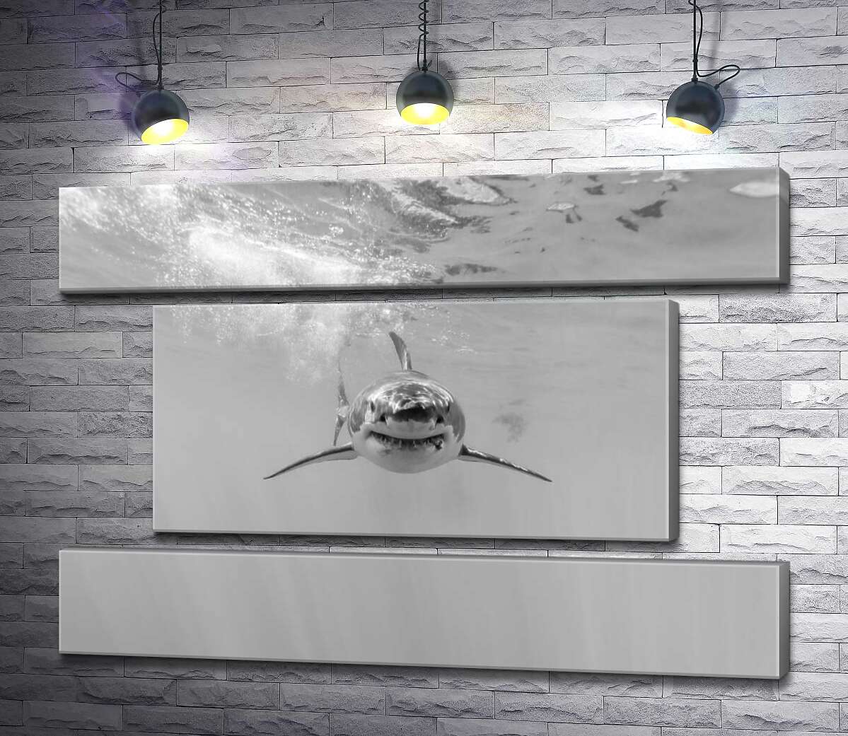 модульная картина Черно-белый силуэт приближающейся акулы (Модуль №18)