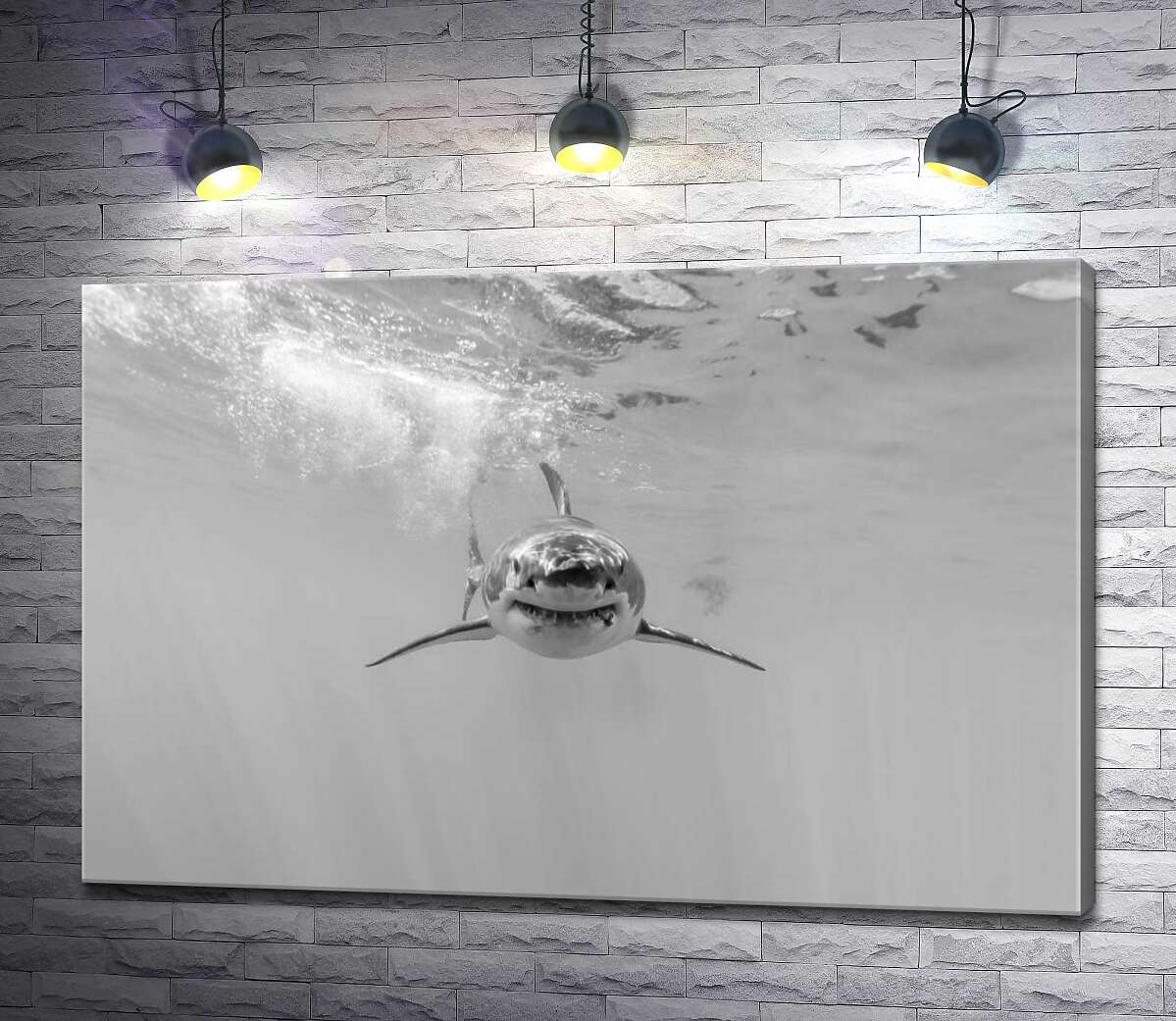 картина Чорно-білий силует акули, що наближається