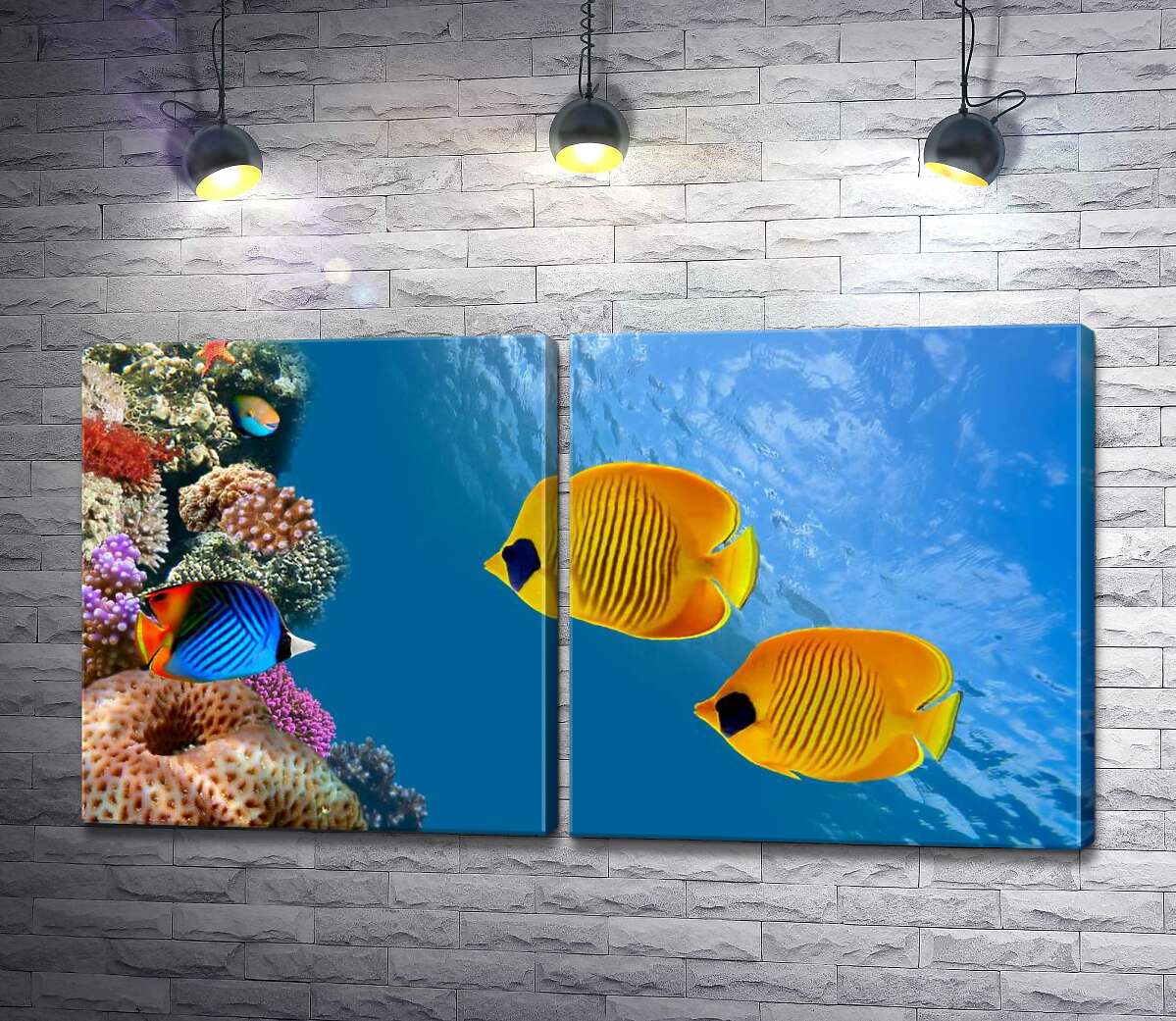 модульная картина Желтые рыбы-бабочки плавают среди острова кораллов