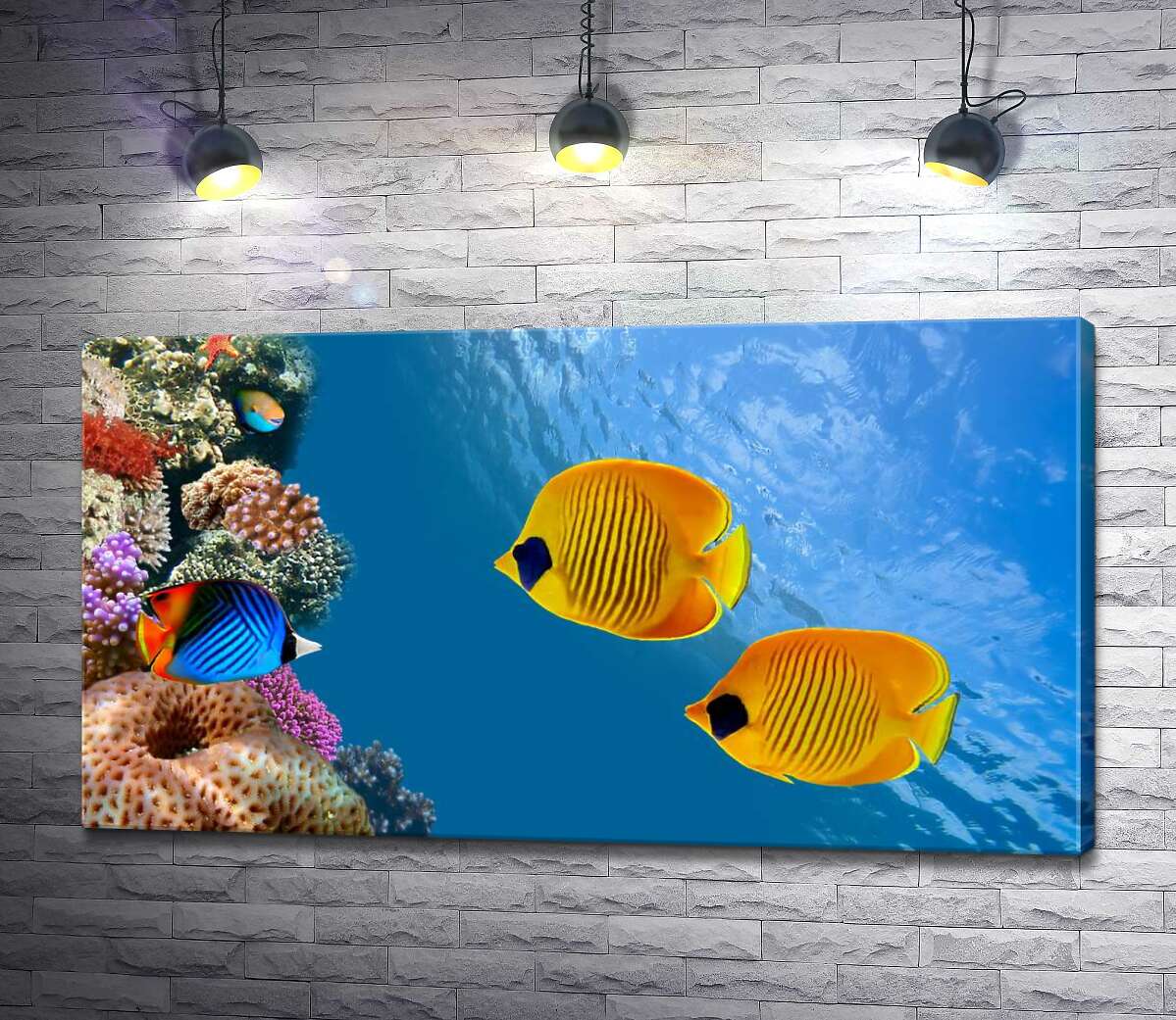 картина Жовті риби-метелики плавають серед острова коралів