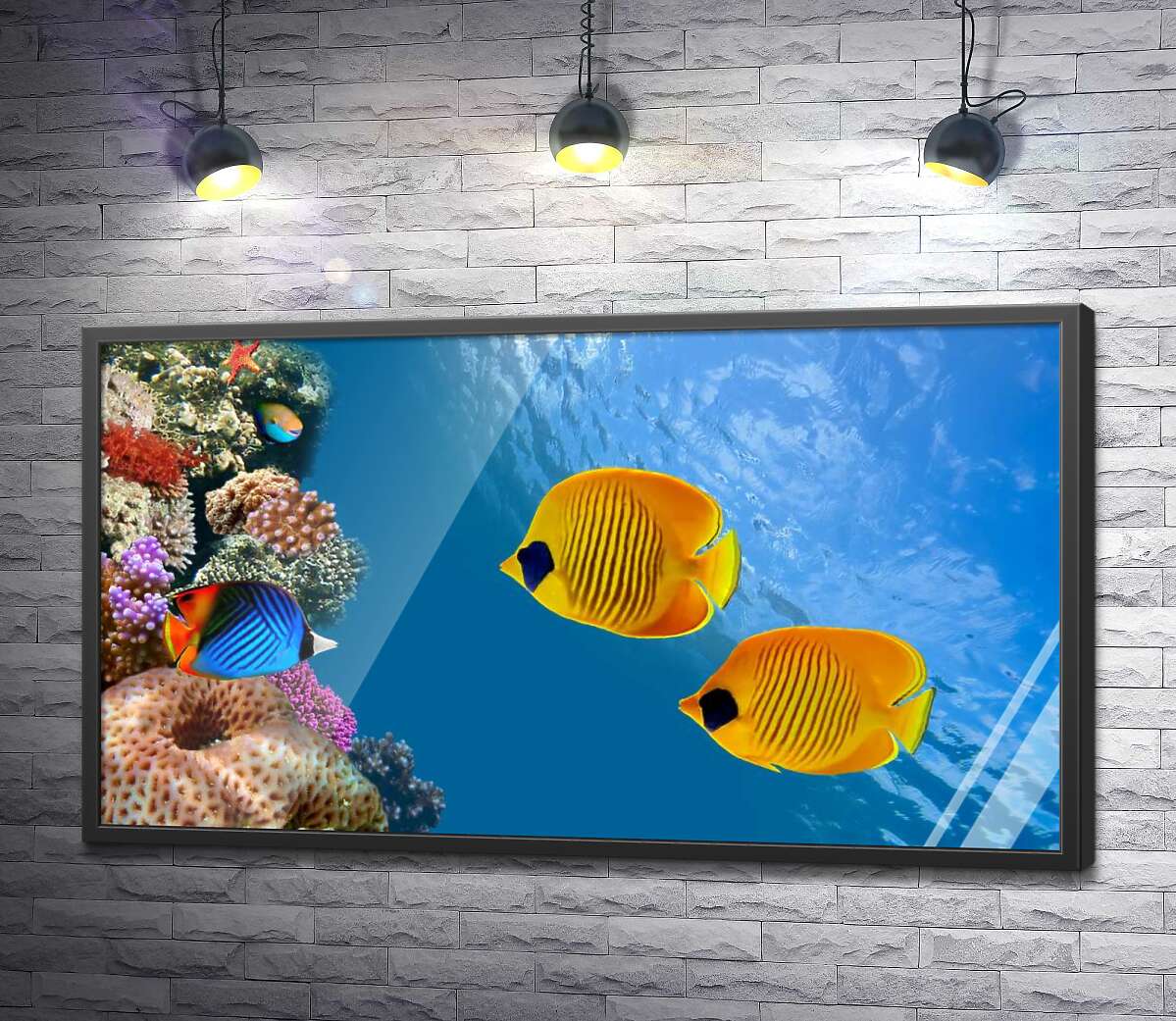 постер Желтые рыбы-бабочки плавают среди острова кораллов