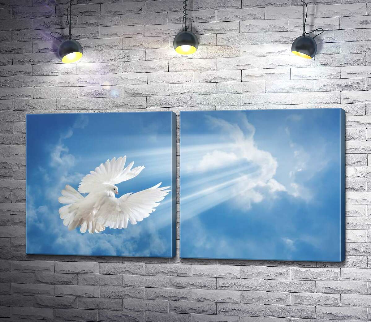 модульна картина Білокрилий голуб в променях сонця здіймається в небо