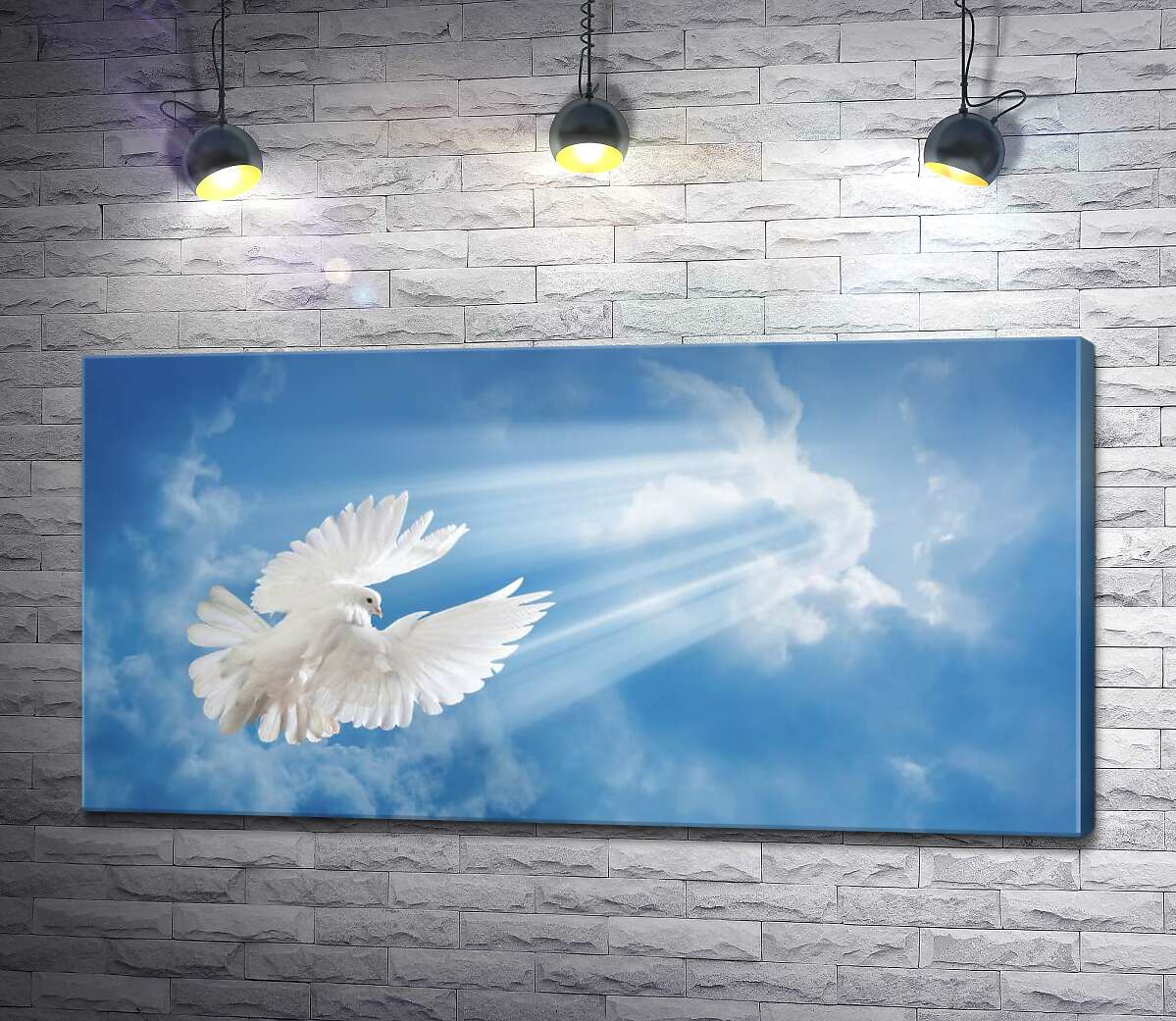 картина Белокрылый голубь в лучах солнца поднимается в небо