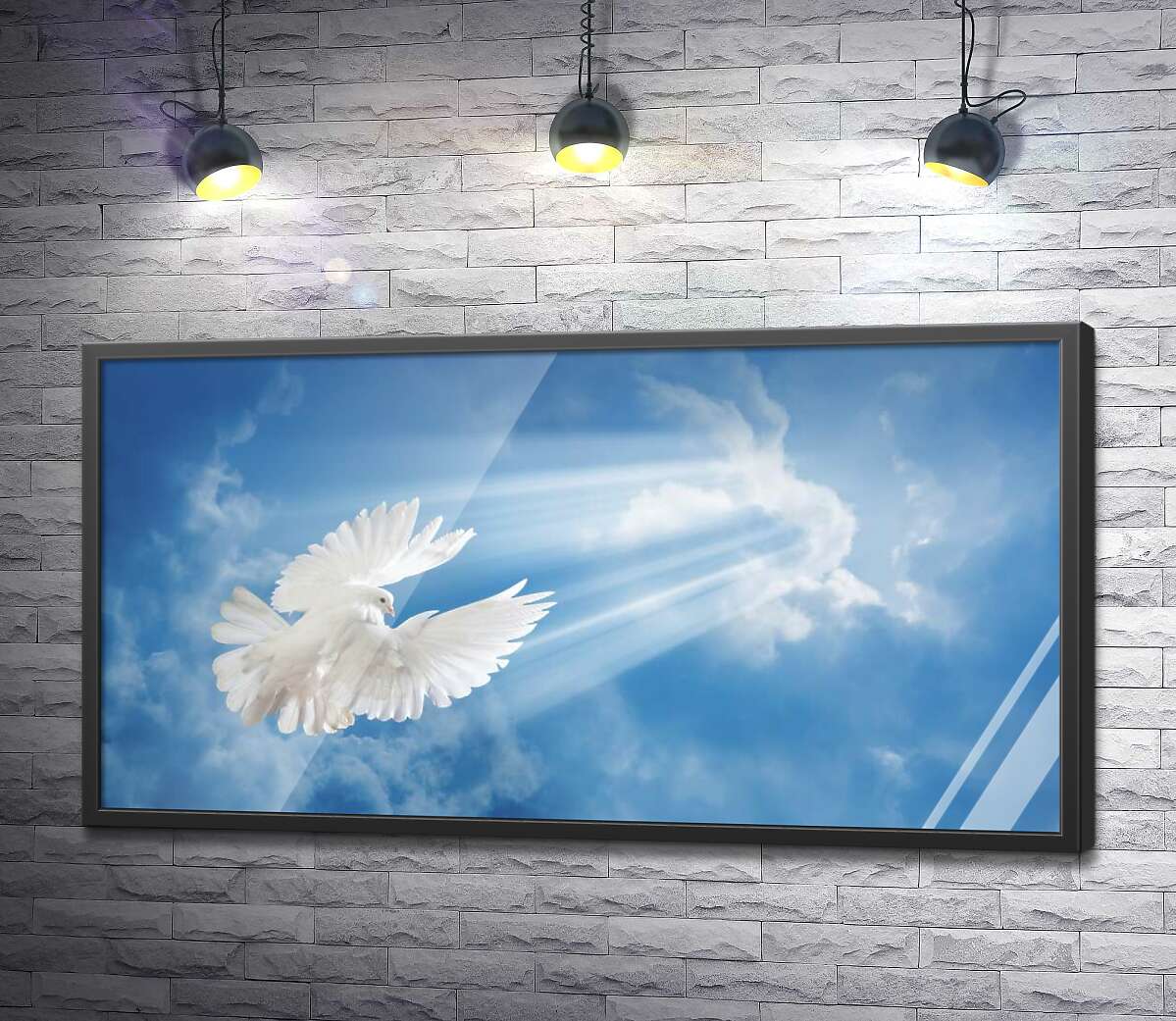 постер Белокрылый голубь в лучах солнца поднимается в небо