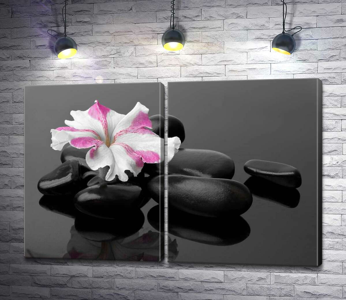 модульна картина Рожево-біла квітка примули лежить на чорному камінні
