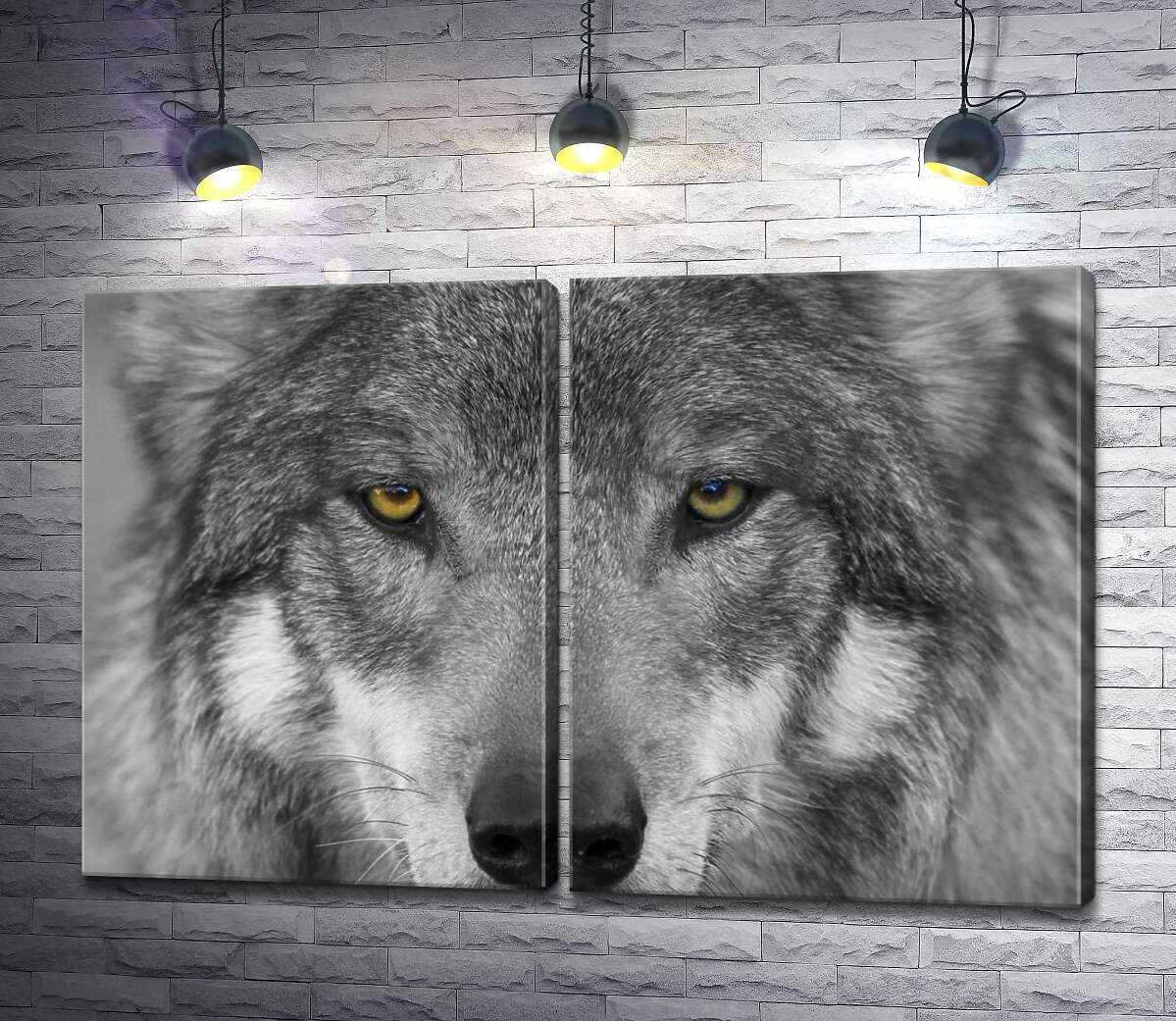 модульная картина Уверенный взгляд серого волка