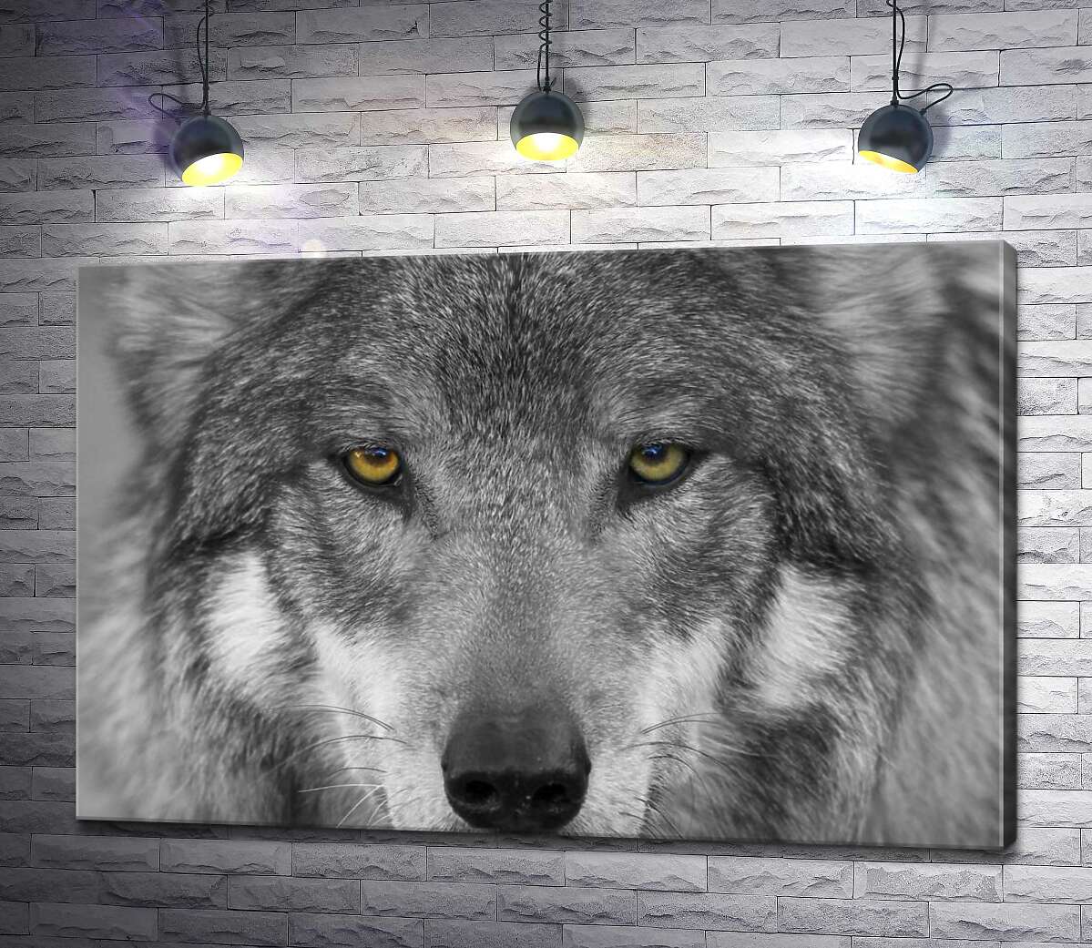 картина Впевнений погляд сірого вовка