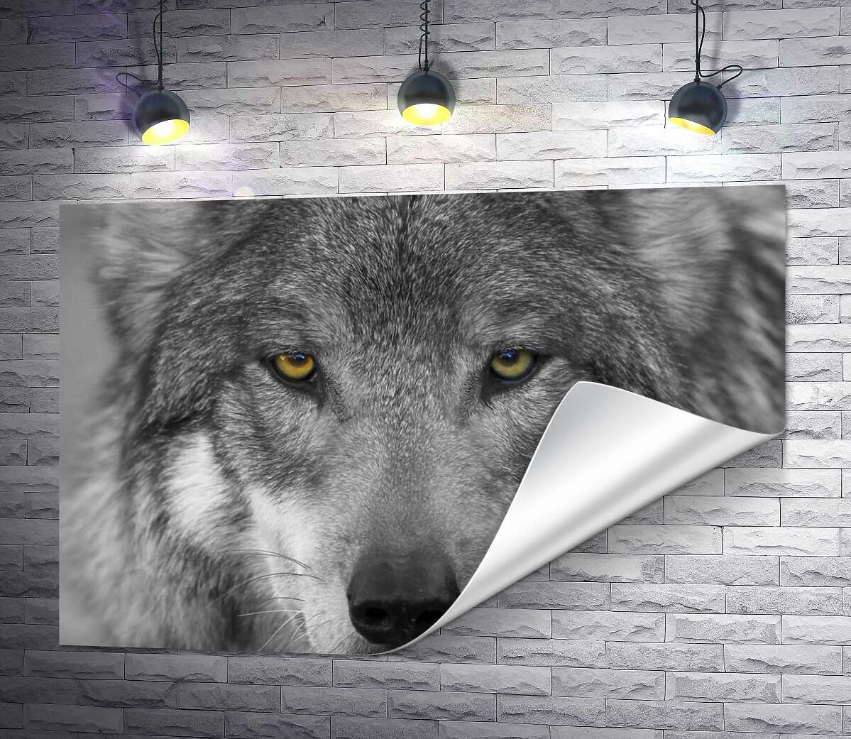 печать Уверенный взгляд серого волка