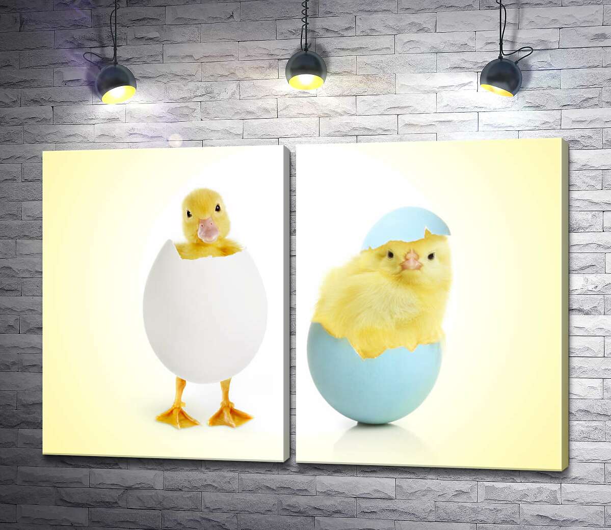 модульная картина Пушистые утенок и цыпленок вылупились из яиц