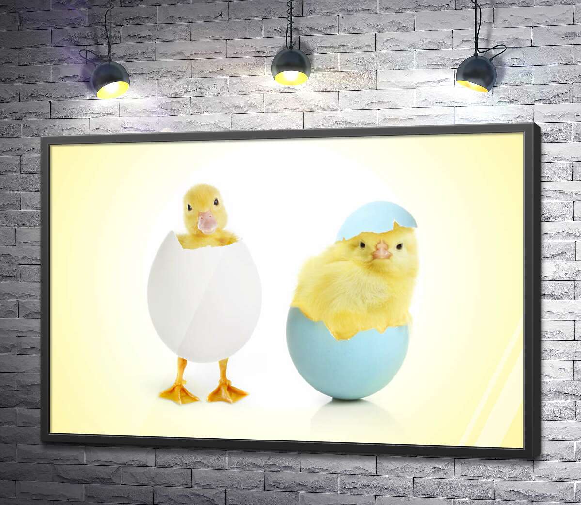 постер Пушистые утенок и цыпленок вылупились из яиц