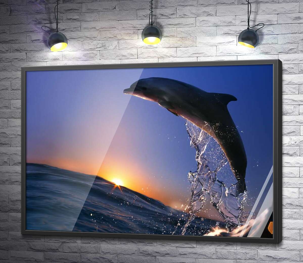постер Дельфін злітає над водою