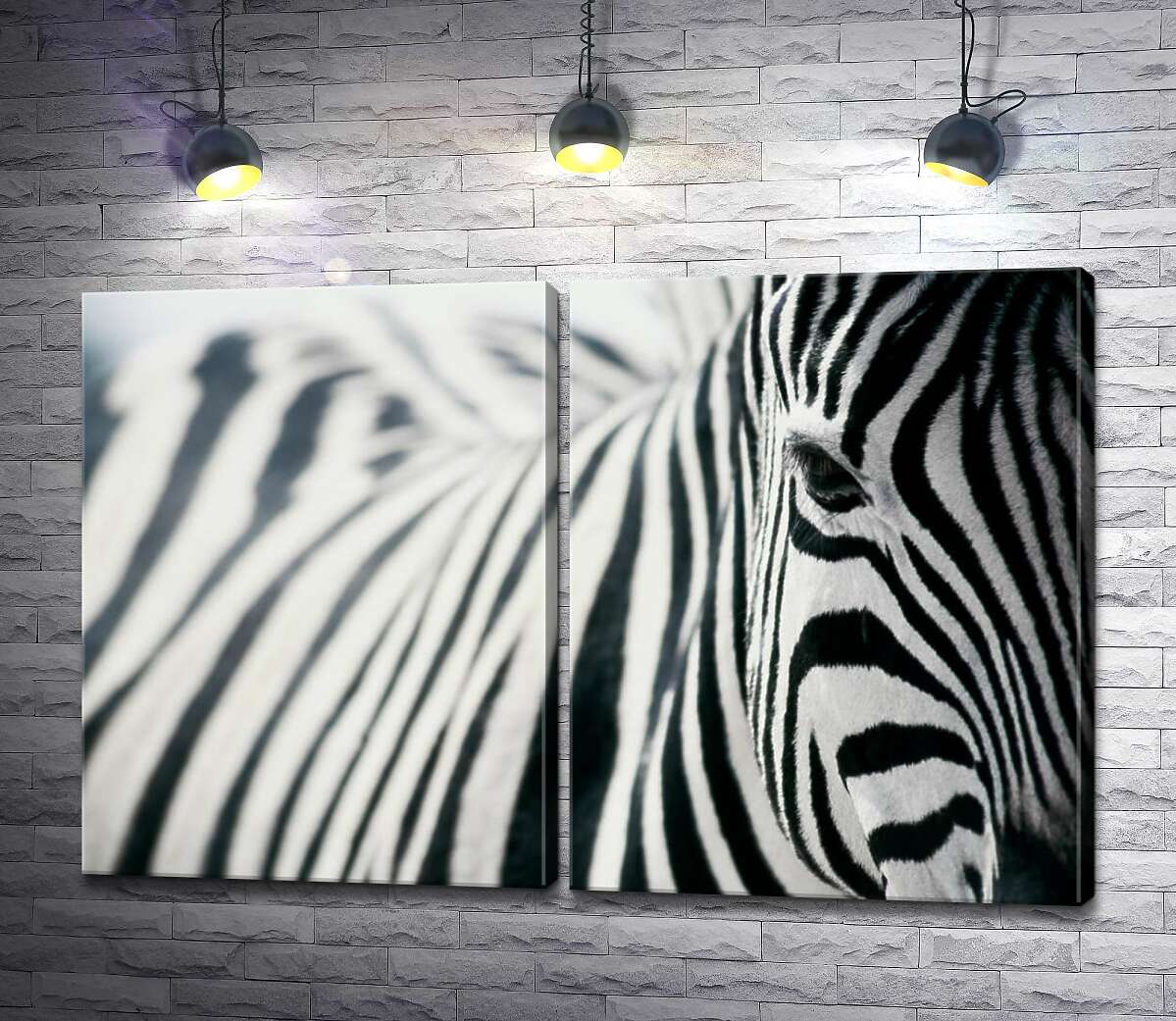 модульна картина Чорно-білі полоски зебри