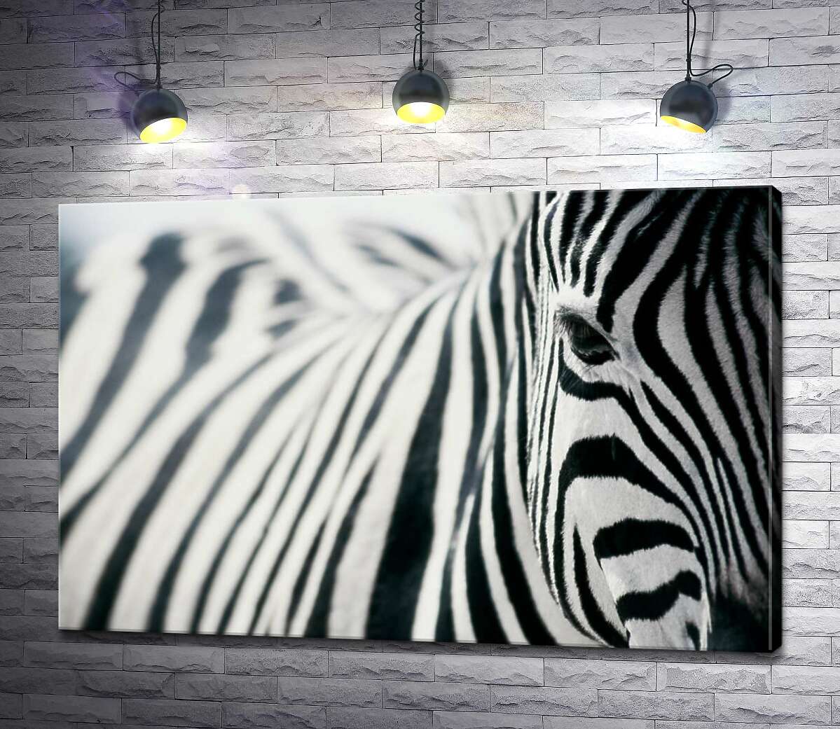 картина Чорно-білі полоски зебри
