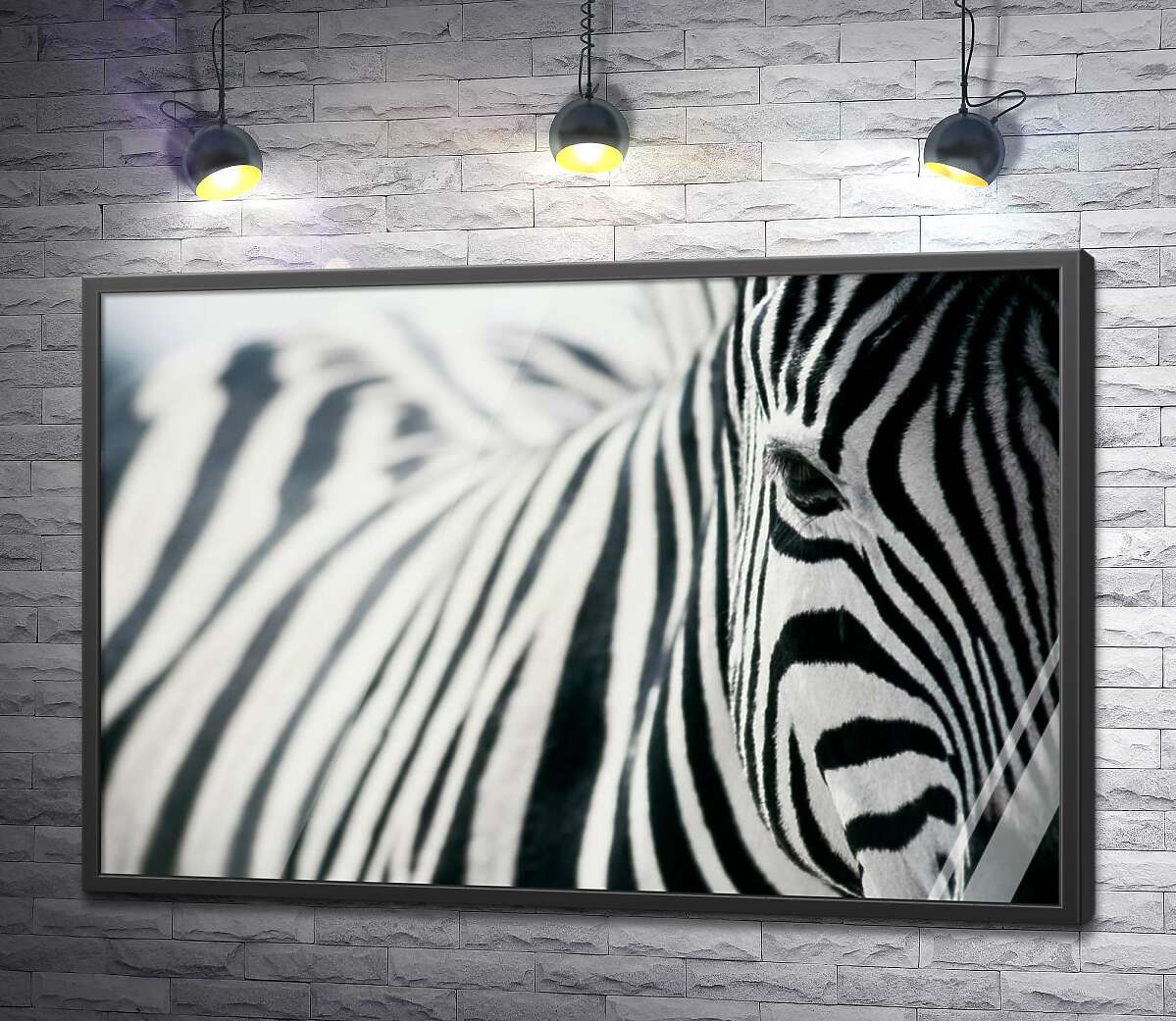 постер Чорно-білі полоски зебри