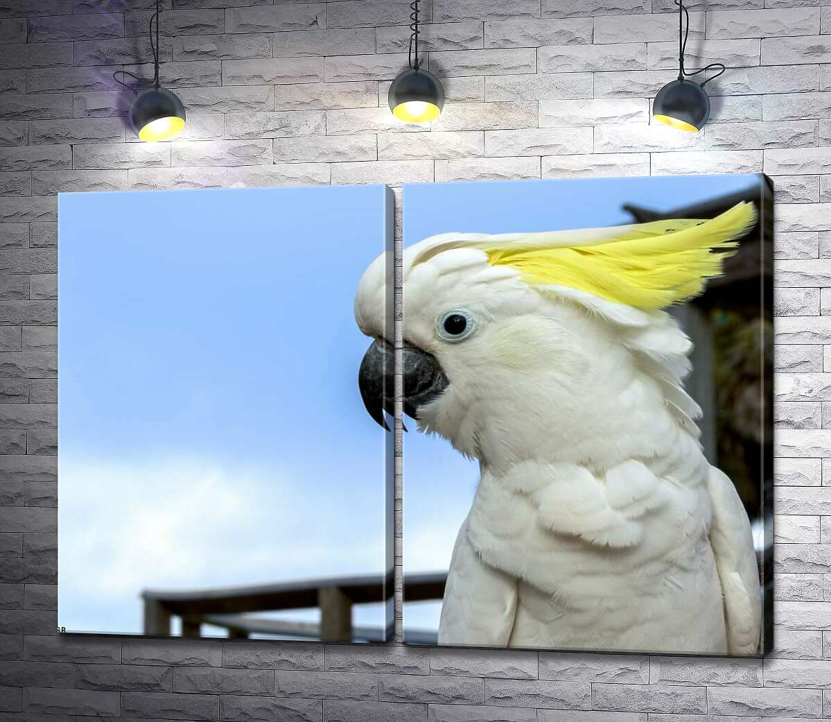 модульная картина Белый попугай какаду с желтой челкой