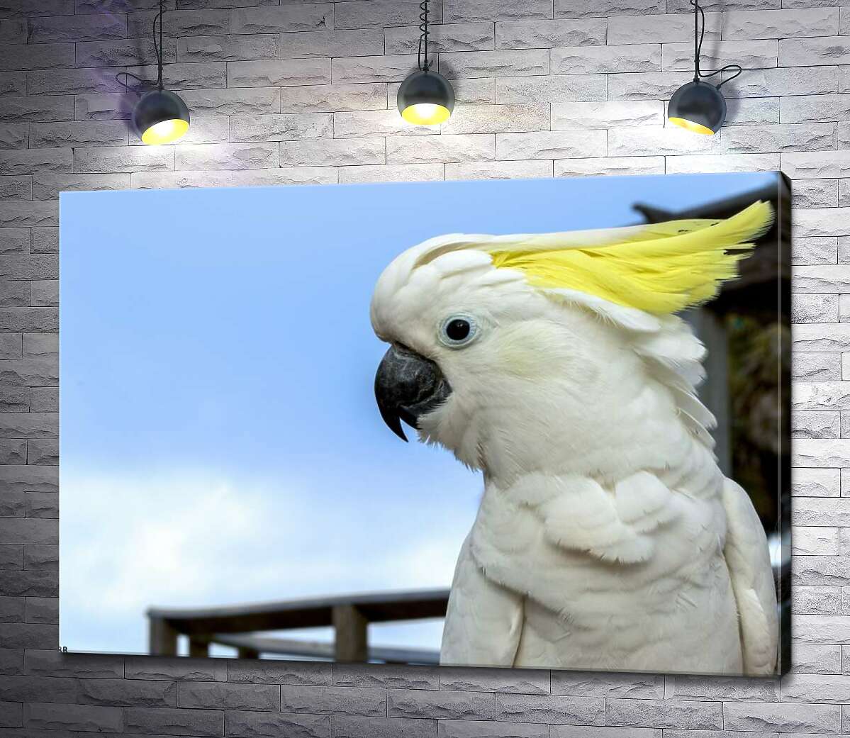 картина Белый попугай какаду с желтой челкой
