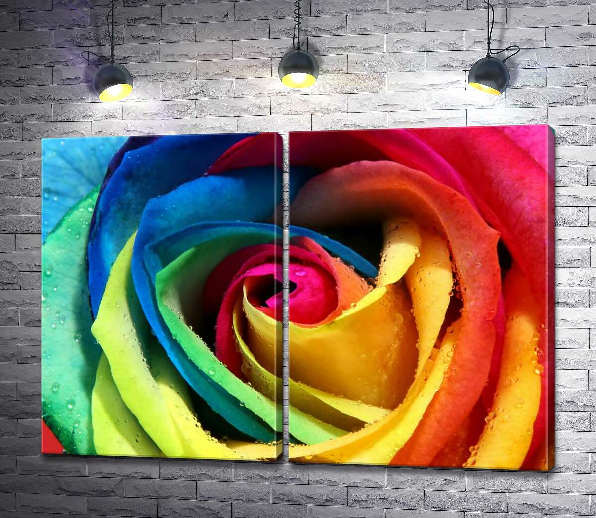 модульная картина Бутон радужной розы
