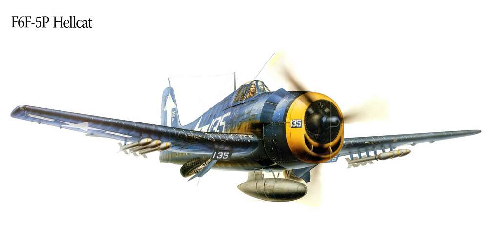 картина-постер "Адский кот" - американский палубный истребитель Grumman F6F Hellcat
