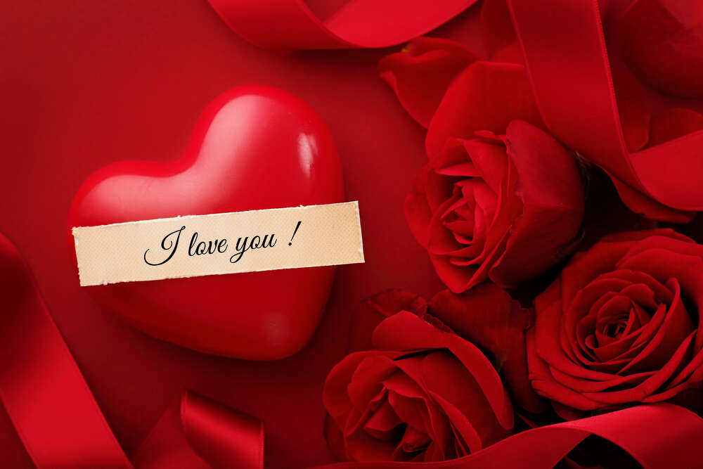 картина-постер Зізнання у коханні в оточенні пишних червоних троянд