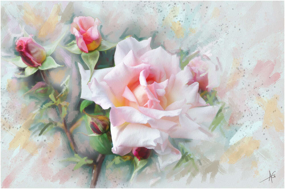 картина-постер Острые лепестки куста розы