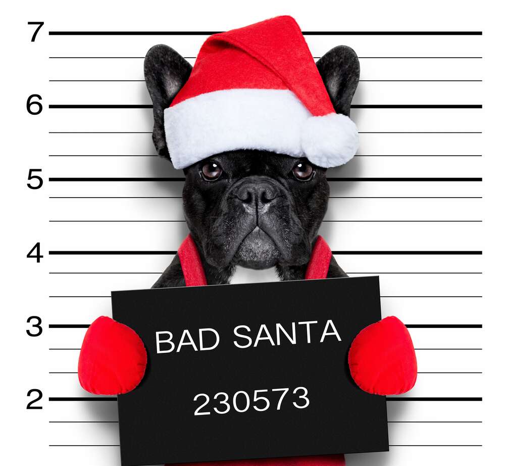 картина-постер Святковий чорний бульдог - "Bad Santa"