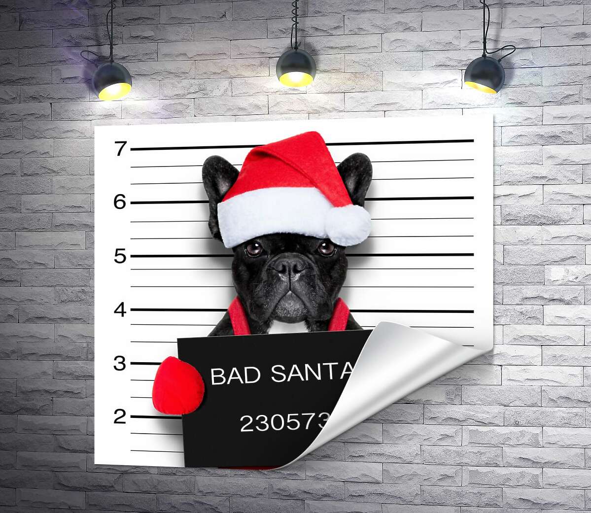 печать Праздничный черный бульдог – "Bad Santa"