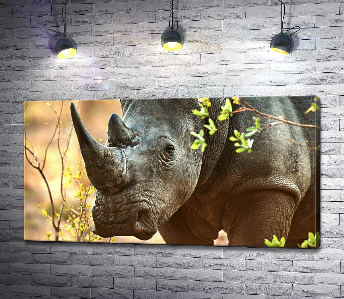 картина Черный носорог гуляет между деревьями